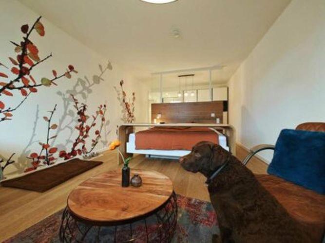 Artroom Boarding Apartment Bissendorf Dış mekan fotoğraf